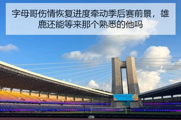 字母哥伤情恢复进度牵动季后赛前景，雄鹿还能等来那个熟悉的他吗